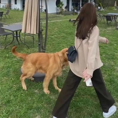 武馆